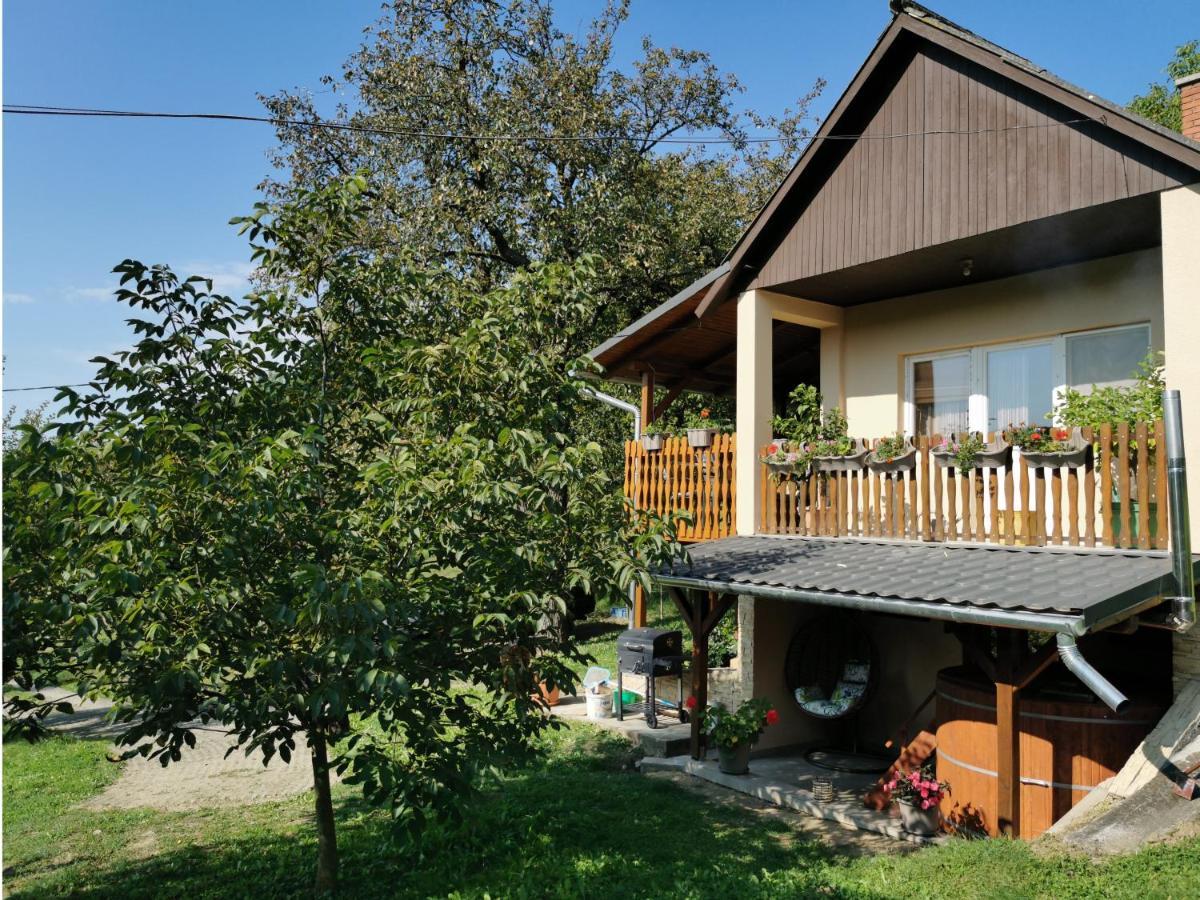 Lipics Part Apartment